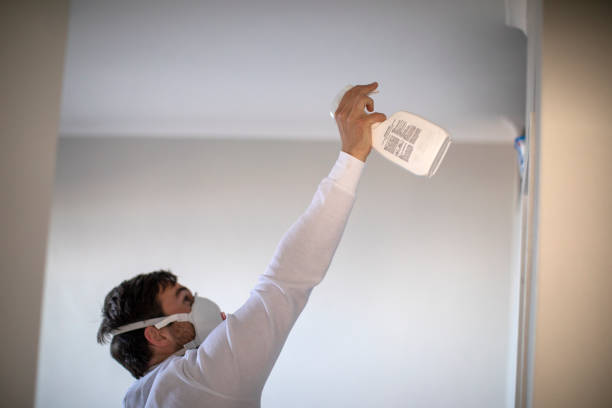 Best Mold Remediation  in Osceola, IA